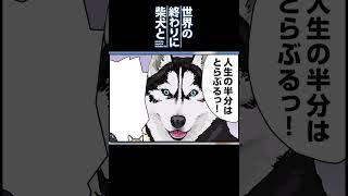 トラブルまみれのハスキー #shorts 【世界の終わりに柴犬と切り抜き / アニメ / 漫画】