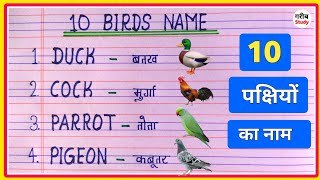 10 Birds name Hindi and English/ पक्षियों का नाम/Birds name in English/Birds name in Hindi