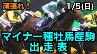 1/5(日)出走のマイナー種牡馬産駒を紹介！