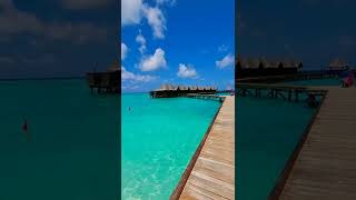 Paradise #shorts #watervilla #maldives #oceanwaves #paradise