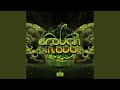 The Squatch Expands Life (Grouch in Dub Remix)