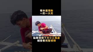 三個鉤子串成串織進活魚誘餌裏，組成一個奪命連環鉤，釣起魚來效果有多爆炸？#shorts