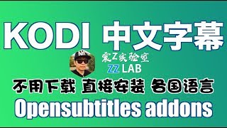 055 kodi中文字幕插件安裝教程opensubtitles chinese subtitlese addons 007