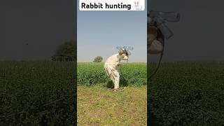 Amazing rabbit hunting #farming #hunting #rabbit #shorts