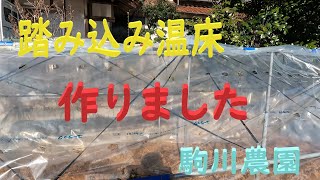 踏み込み温床作りました　駒川農園　24.1.11