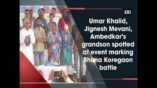 Umar Khalid, Jignesh Mevani, Ambedkar’s grandson spotted at event marking Bhima Koregaon battle