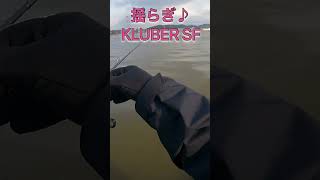 【バス釣り】KLUBERSFが楽しすぎた♪#バス釣り#揺らぎ系#クルーバー