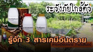 ระวังภัยใกล้ตัว 3 สารเคมีอันตราย