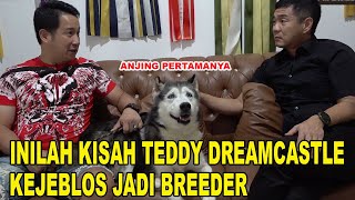 KISAH TEDDY DREAMCASTLE KEJEBLOS JADI BREEDER ANJING