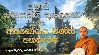 සමාධි සමාපත්ති කුසලතාව සහ අවබෝධය පිණිස  අතහැරීම | Hasalaka Seelawimala Thero