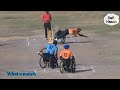 Great Fifty Knock by Sahil || Wheel Chair Cricket | BLIND Cricket Match !! Motivational !!