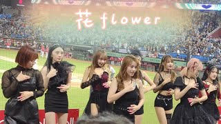 花 Flower 西區中場舞 花  林襄 十元 若潼 凱伊  樂天女孩 樂天桃猿 Rakuten Girls 全家 超級香 夯蕃薯 花朵舞