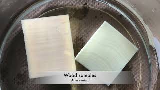 Lab 1 Delignification of Wood