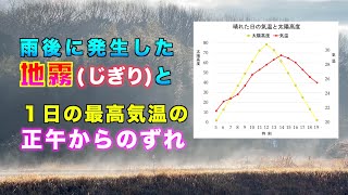 雨後に発生した地霧じぎりと 最高気温の正午からのずれ