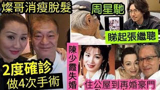 燦哥身體堪憂！廖偉雄「脫髮消瘦」2度確診「手術失敗」做4次！周星馳IG成癮「睇起張繼聰」有望個星二代！TVB前花旦陳少霞「離婚喪夫」住公屋！照顧病女！到再婚入豪門！ #伍間娛樂 (shorts)蔡天鳳