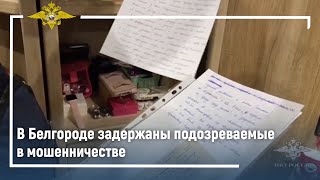 Ирина Волк: Белгородские полицейские задержали подозреваемых в мошенничестве