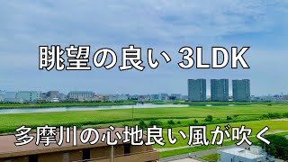 【内見動画】多摩川の心地よい風が吹く‼︎眺望の良い3LDK‼︎