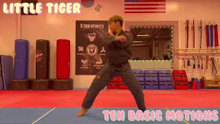 Little Tiger 10 Basic Motions (2/4)