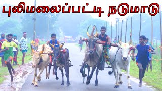 நடுமாடு புலிமலைப்பட்டி பந்தையம் 14.12.2024