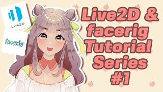 【Live2D Cubism 4.0 and Facerig】How to Make Your Own Vtuber Live2D Model for Beginners Part 1