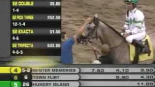 Winter Memories - 2010 Saratoga Maiden Race