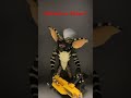 neca mohawk or stripe gremlins