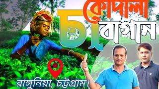 Kodala Tea Estate ।। কোদালা চা বাগান।। রাঙ্গুনিয়া।। Rangunia Aerial views || Bangladesh