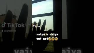 Vaiya o vaiya tui koi