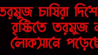 তরমুজ চাষিরা দিশেহারা। অতি বৃষ্টিতে তরমুজ নষ্ট হয়ে লোকসানে পড়েছে কৃষক।#noakhali #farmer #watermelon