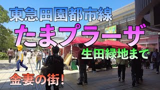 たまプラーザから生田緑地まで歩きました！🚶‍♂️