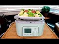 perfectly steamed salmon and veggies using buydeem electric food steamer