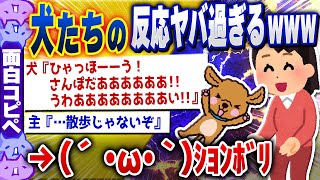 【面白い2chコピペスレ】わんわんお！（Ｕ＾ω＾）イッヌ・わんこ・犬まみれ爆笑コピペ２８連発 [ ゆっくり解説 ]