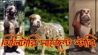 পৃথিবীর ইতিহাসে সর্বপ্রথম একটি রাস্তার কুকুর অংশগ্রহণ করে প্রথম বিশ্বযুদ্ধে! | Goal of Motivation