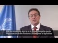 UNEP Executive Director Achim Steiner's message for World Environment Day 2013