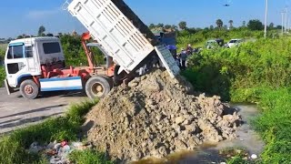 路边一大片沼泽地丢荒怪可惜的 小卡车拉来一车一车土方进行回填 #土方运输 #土方车 #新农村建设 #翻斗自卸车