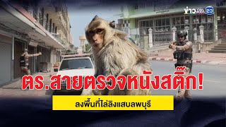 ตร.สายตรวจหนังสติ๊ก! ลงพื้นที่ไล่ลิงแสบลพบุรี