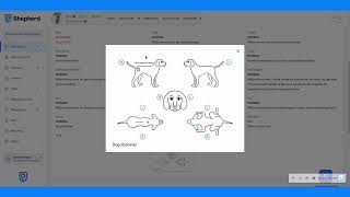 Discover Shepherd: The Leading Cloud-Based Veterinary Software in the U.S. | 5-Minute Overview