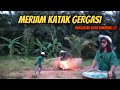 Aku Buat Meri4m Katak Gergasi Terpadu 2023..Bergegar 1 Kampung 😱