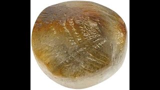 Mach mani Stone |  | | माछ मणि |प्रभावशाली है जैविक दुर्लभ और चमत्कारी माछ मणि | Buy Now