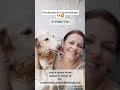 viral viralvideo viralshorts memes cachorro gratidão cao gatos evangelho destacar amor