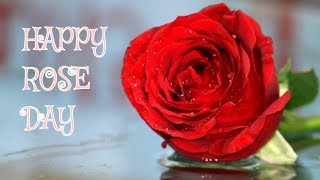 7 Febuary - Rose Day Special Whatsapp Status Video 2018 | Valentine's Day Special