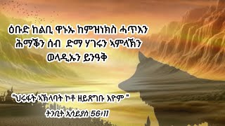 13 2017, 2017. ሃገሩን ኣምላኽን ወላዲኡን ይንዓቅ \