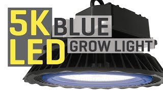 New 5000K Blue LED Grow Light