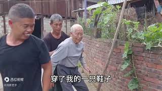 老罗家开始收割稻谷了，102岁爷爷也要去帮忙，丰收的喜悦