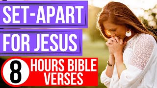 Holiness Scriptures (Encouraging Bible verses for sleep with music)