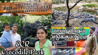 Crocodile Bank in Chennai ECR | பாம்பு விஷம் எடுக்கும் இடம் | முதலை பண்ணை | Places to Visit Chennai