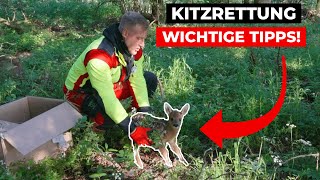 Wichtige Tipps und Tricks für erfolgreiche Kitzrettung! (Kitzrettung mit Drohne)