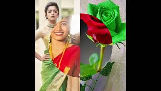 #rashmika vs #rose