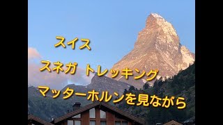 【スイス】マッターホルンを見ながらスネガパラダイス ハイキングしました。お花畑がすばらしいスネガの湖散策コースです