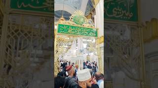 Riyaz ul Jannah 😍 | Madina Munawwarah | #youtubeshorts #ytshorts #madina #shorts